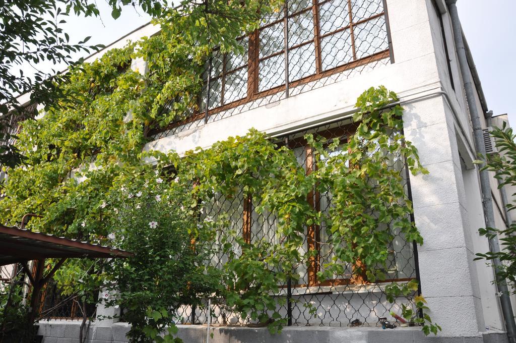 Villa Ivana 敖德萨 外观 照片